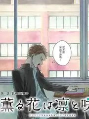 街角食堂综艺全集手机免费在线观看
